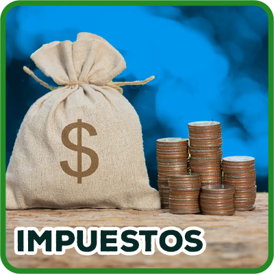 Impuestos